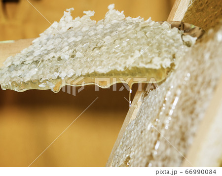 Raw honey on honeycomb Raw honey on honeycomb 66990084