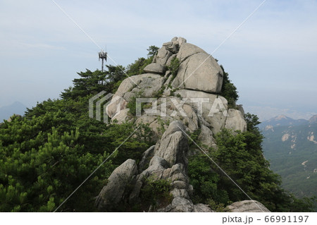 岩山 谷 トレイル 66991197