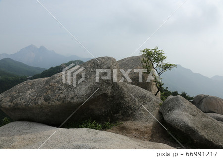 岩山 谷 トレイル 66991217