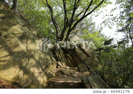 岩山 谷 トレイル 66991276