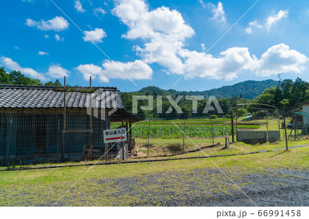 上桐生バス停の登山口（金勝アルプス） 66991458