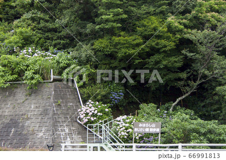 三河湾ヒルズ・ホテル　みはらし山　あじさい園　散歩道入口 66991813