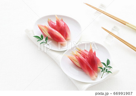 ミョウガの甘酢漬け 66991907