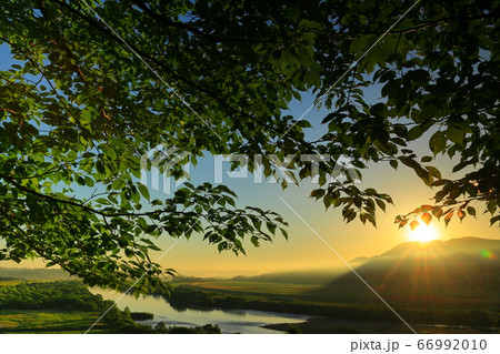 夜明けの束稲山 66992010