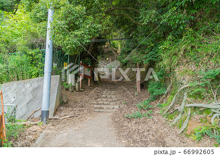 上野道の登山口（摩耶山） 66992605