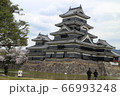 松本城 66993248