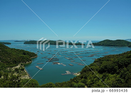 瀬戸内海　追門の曙 66993436