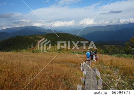 尾瀬周辺にある日本百名山の燧ヶ岳(ひうちがたけ)の尾瀬御池ロッジから熊沢田代直後の木道と草紅葉と青空 尾瀬周辺にある日本百名山の燧ヶ岳(ひうちがたけ)の尾瀬御池ロッジから熊沢田代直後の木道と草紅葉と青空 66994372