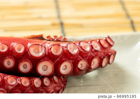 タコ(湯だこ)。背景、すだれ。 66995195