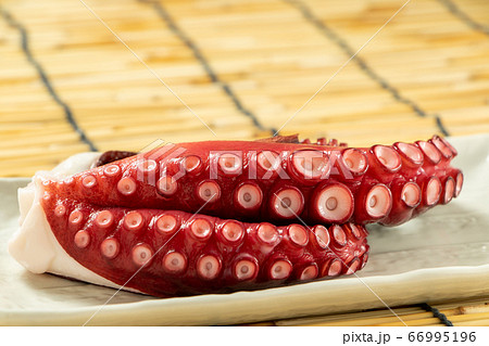 タコ(湯だこ)。背景、すだれ。 66995196