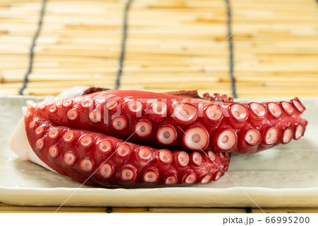 タコ(湯だこ)。背景、すだれ。 タコ(湯だこ)。背景、すだれ。 66995200