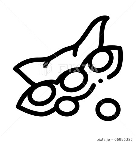raw fresh soy bean icon vector outline illustration 66995385