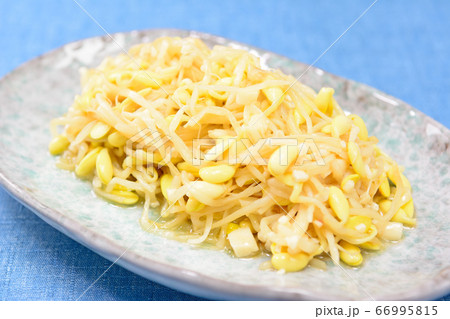 もやしナムル もやしナムル 66995815