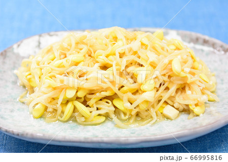 もやしナムル もやしナムル 66995816