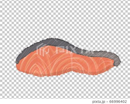 R: fairy tale salmon fillet 66996402