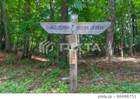 槇寄山山頂(槇寄山・笹尾根) 槇寄山山頂(槇寄山・笹尾根) 66996751