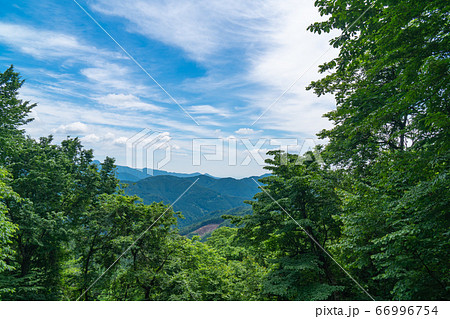 槇寄山山頂からの景色(槇寄山・笹尾根) 槇寄山山頂からの景色(槇寄山・笹尾根) 66996754