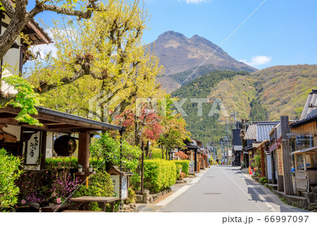 大分県 新緑の湯布院 由布岳と湯の坪街道 大分県 新緑の湯布院 由布岳と湯の坪街道 66997097