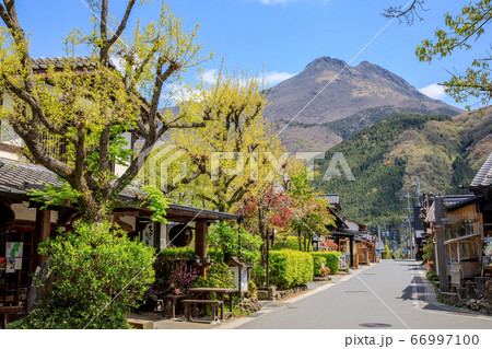 大分県　新緑の湯布院　由布岳と湯の坪街道 66997100
