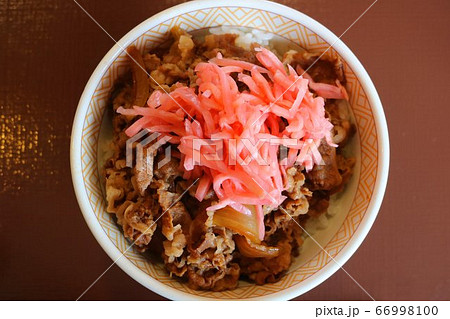 おいしそうな牛丼 66998100