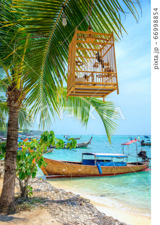 ピピ・レイ島の美しい風景(タイ・プーケット) ピピ・レイ島の美しい風景(タイ・プーケット) 66998854