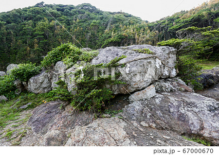 宮崎県 日向市 大御神社 さざれ石 宮崎県 日向市 大御神社 さざれ石 67000670