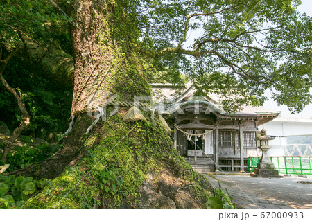 宮崎県　日向市　美々津町　立磐神社 67000933