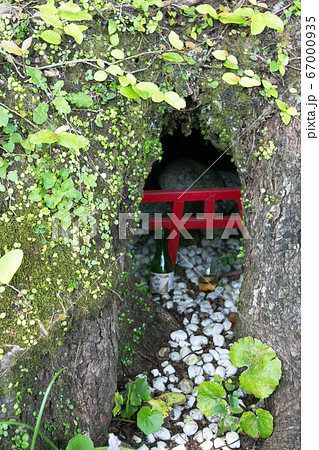 宮崎県　日向市　美々津町　立磐神社 67000935