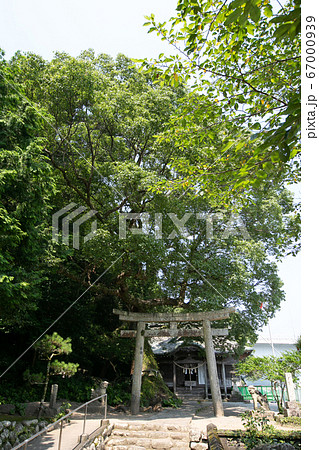 宮崎県 日向市 美々津町 立磐神社 宮崎県 日向市 美々津町 立磐神社 67000939