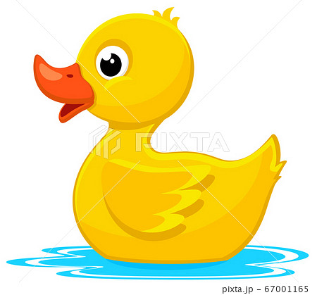 Rubber duck on the water on a white background 67001165