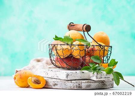 Fresh ripe apricots in basket Fresh ripe apricots in basket 67002219