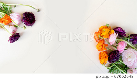 Flowers flat lay composition Flowers flat lay composition 67002648
