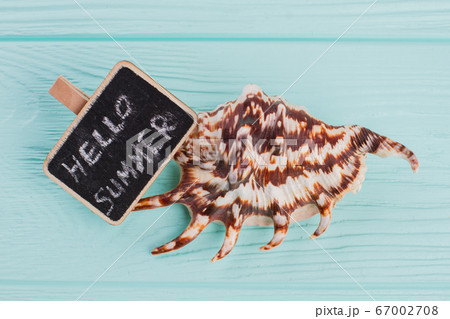 Close-up little seashell with sign Hello sea on blue background. Close-up little seashell with sign Hello sea on blue background. 67002708