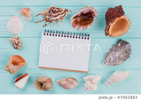 Top view of set of different sea shells and notepad in the centre of composition on turquoise background. Top view of set of different sea shells and notepad in the centre of composition on turquoise background. 67002883