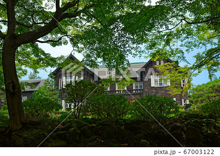 旧古河庭園の洋館と若葉に新緑 67003122