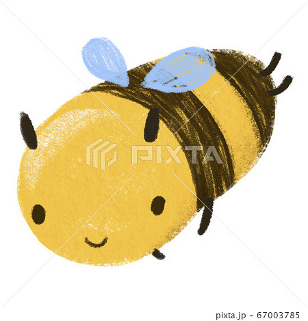Cute Honey Bee Hand Drawn Characterのイラスト素材