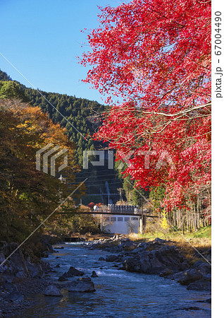 紅葉の御岳渓谷紅葉の御岳渓谷 紅葉したモミジと背景の杣の小橋と水力発電所の写真素材