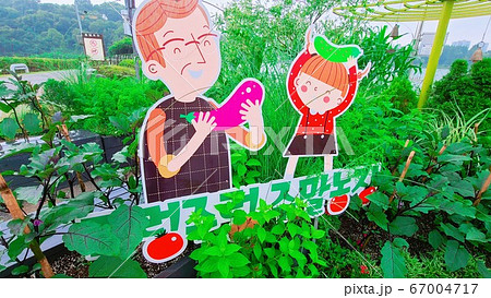 緑 緑色 自然 67004717