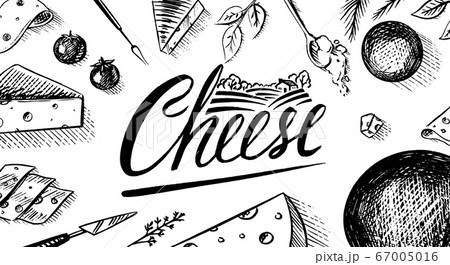 Cheese Poster or banner. Slices of Edam and Mozzarella for market or grocery store. Cheeseboard and 67005016