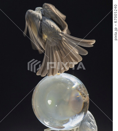 韓国 仁川市 南洞 67005240