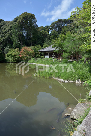 浄瑠璃寺 境内 浄瑠璃寺 境内 67006977