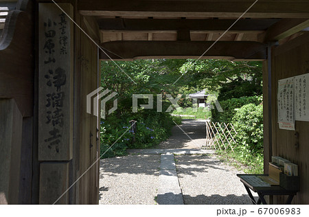 浄瑠璃寺 山門から境内を望む 浄瑠璃寺 山門から境内を望む 67006983
