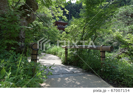 浄瑠璃寺 参道 浄瑠璃寺 参道 67007154