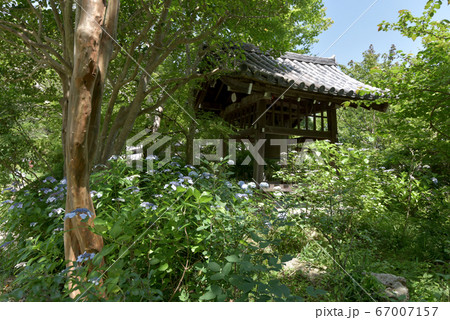 浄瑠璃寺 鐘楼 浄瑠璃寺 鐘楼 67007157