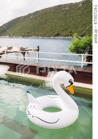 An inflatable swimming circle in the shape of a white swan floats in the pool. An inflatable swimming circle in the shape of a white swan floats in the pool. 67007261
