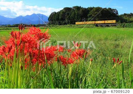 三岐鉄道　北勢線 67009120