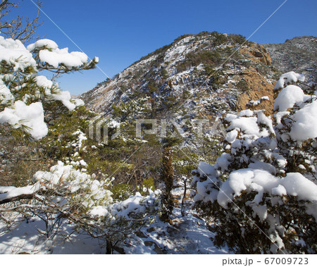韓国 ソウル市 鍾路区 67009723