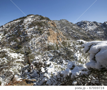 韓国 ソウル市 鍾路区 67009728