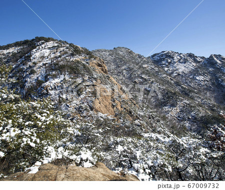 韓国 ソウル市 鍾路区 67009732