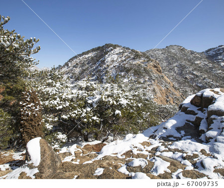 韓国 ソウル市 鍾路区 67009735